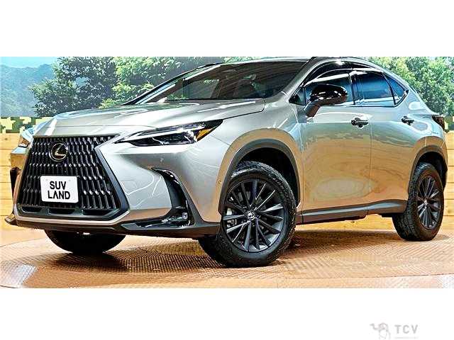 2025 Lexus NX