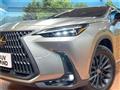 2025 Lexus NX