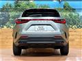 2025 Lexus NX