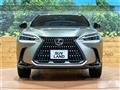 2025 Lexus NX