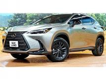 2025 Lexus NX