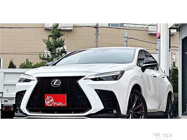 2025 Lexus NX