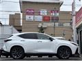 2025 Lexus NX