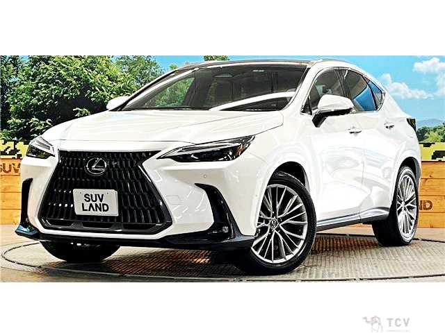 2025 Lexus NX
