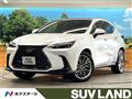 2025 Lexus NX
