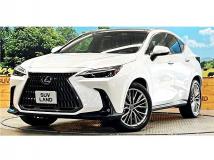 2025 Lexus NX