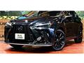 2025 Lexus NX
