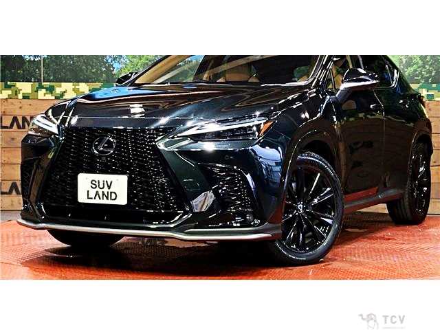 2025 Lexus NX