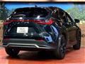 2025 Lexus NX