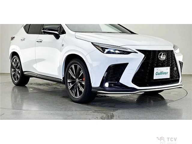 2025 Lexus NX