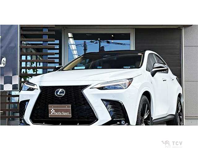 2025 Lexus NX