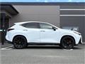 2025 Lexus NX
