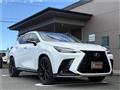 2025 Lexus NX