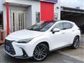 2025 Lexus NX