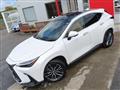 2025 Lexus NX