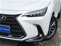 2025 Lexus NX