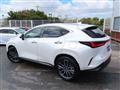 2025 Lexus NX