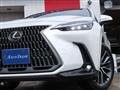 2025 Lexus NX