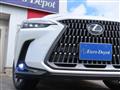 2025 Lexus NX