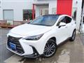 2025 Lexus NX