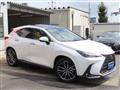 2025 Lexus NX