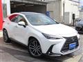2025 Lexus NX