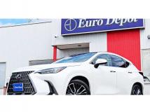 2025 Lexus NX