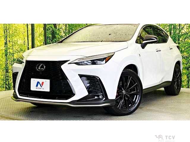 2025 Lexus NX