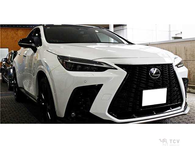 2025 Lexus NX