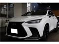 2025 Lexus NX