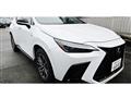 2025 Lexus NX