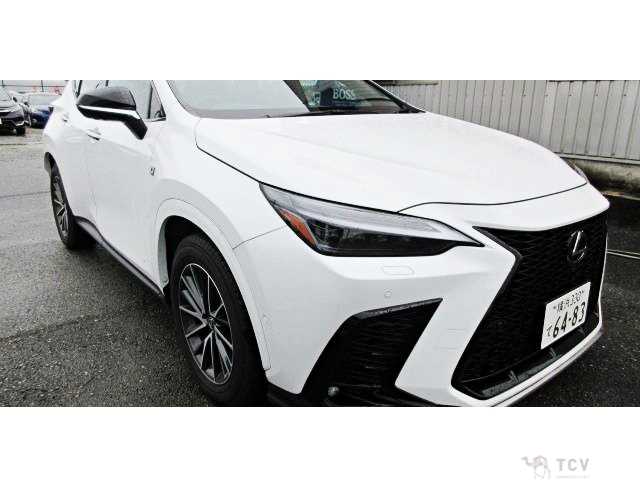 2025 Lexus NX