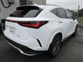 2025 Lexus NX