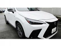 2025 Lexus NX
