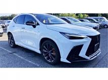 2025 Lexus NX