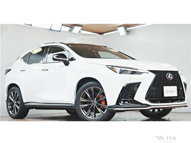 2025 Lexus NX