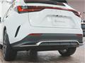 2025 Lexus NX