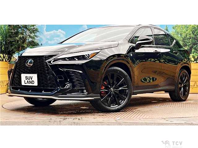 2025 Lexus NX