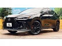 2025 Lexus NX