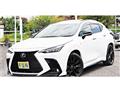 2025 Lexus NX