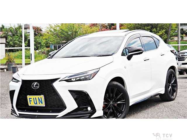 2025 Lexus NX