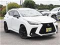 2025 Lexus NX