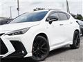 2025 Lexus NX