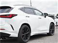 2025 Lexus NX