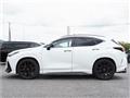 2025 Lexus NX