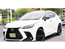 2025 Lexus NX