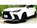 2025 Lexus NX