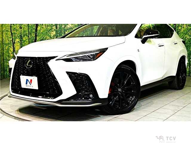 2025 Lexus NX