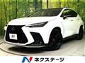 2025 Lexus NX