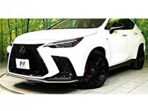 2025 Lexus NX
